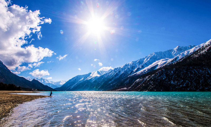 深圳社保卡查询个人账户余额(深窗版)