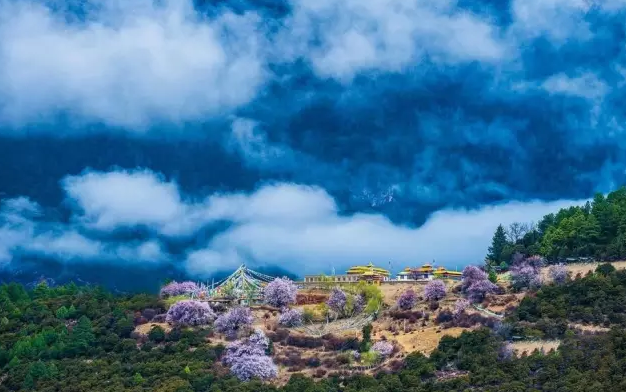 西藏林芝