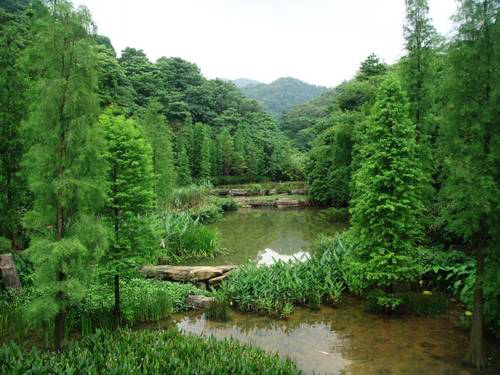 云溪生态公园