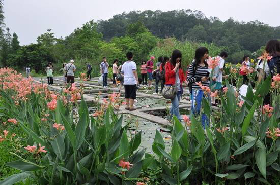 水生植物园