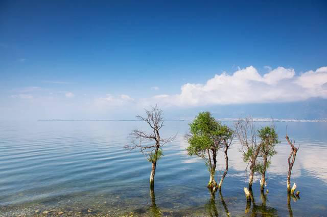 洱海