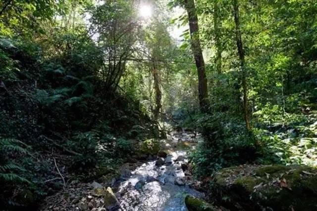 分水岭自然保护区