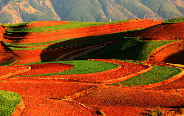十一国内旅游东川红土地