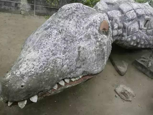 科特迪瓦