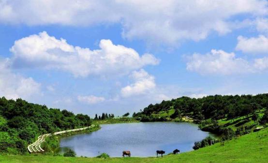 东星假期 · 东星假期 · 中国云顶山海之恋双动三日游3天游